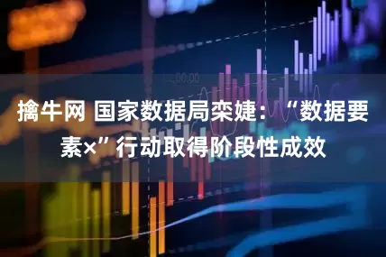 擒牛网 国家数据局栾婕：“数据要素×”行动取得阶段性成效