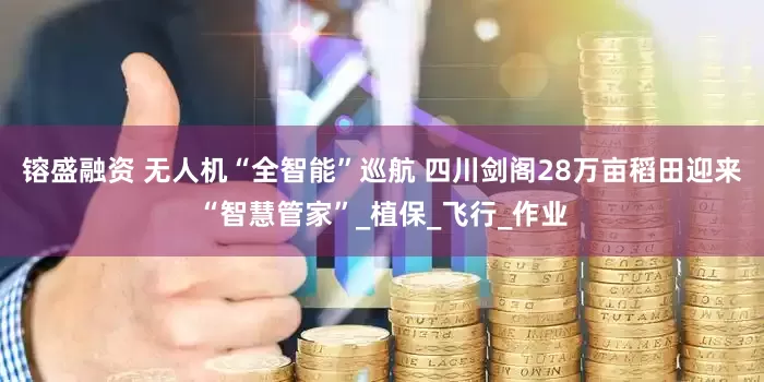 镕盛融资 无人机“全智能”巡航 四川剑阁28万亩稻田迎来“智慧管家”_植保_飞行_作业