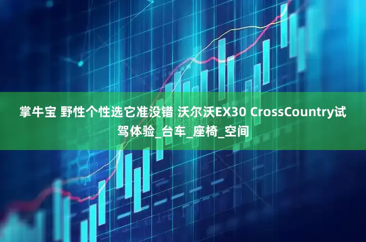 掌牛宝 野性个性选它准没错 沃尔沃EX30 CrossCountry试驾体验_台车_座椅_空间