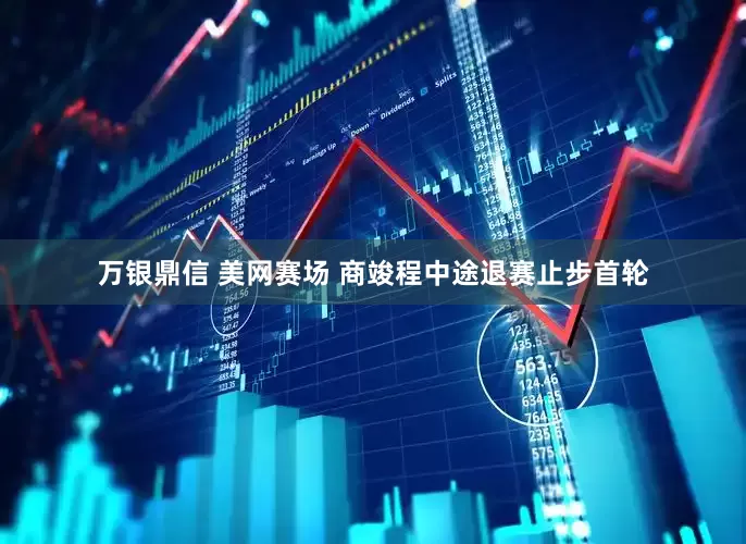 万银鼎信 美网赛场 商竣程中途退赛止步首轮