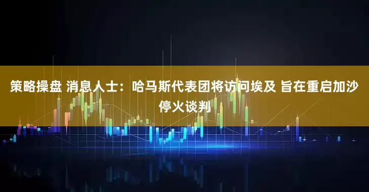 策略操盘 消息人士：哈马斯代表团将访问埃及 旨在重启加沙停火谈判